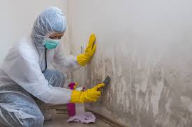 Best Real Estate Mold Inspection  in Campbellsville, KY